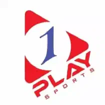 1Play – провайдер слотів у казино